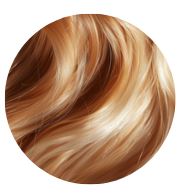 Clip-In Hair Extensions 170G (20") - Andrea's Hair Secrets